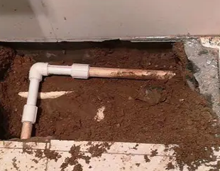 江达测漏水哪家好