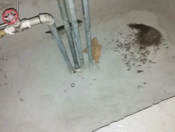 江达卫生间测漏水价格明细