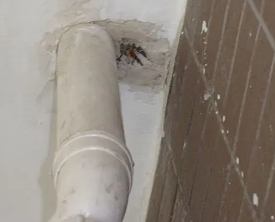 江达漏水检测哪家好